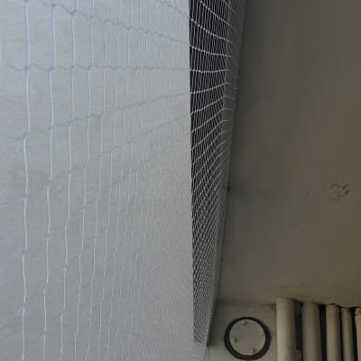 רשת למניעת כניסת יונים מותקנת על קיר חיצוני