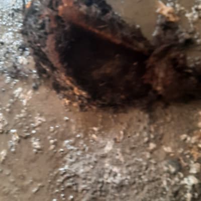 בוץ ולכלוך על הרצפה עם חפץ לא מזוהה