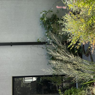 קיר עם צמחייה מטפסת ליד חלון