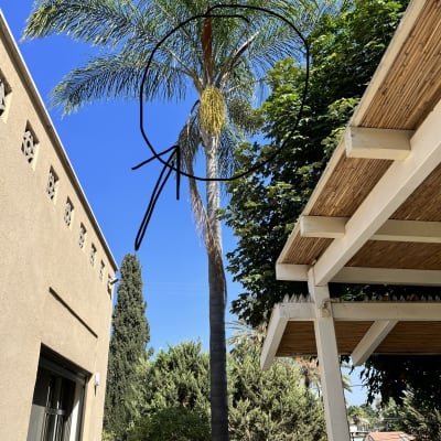 לפני תחילת העבודה