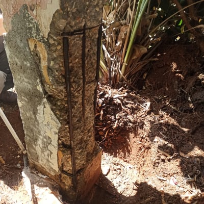 עמוד בטון עם ברזלי זיון חשופים בתהליך שיפוץ