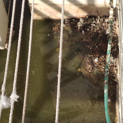 מים עומדים עם צינור ירוק וחבלים