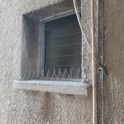 דוקרנים על אדן חלון למניעת יונים