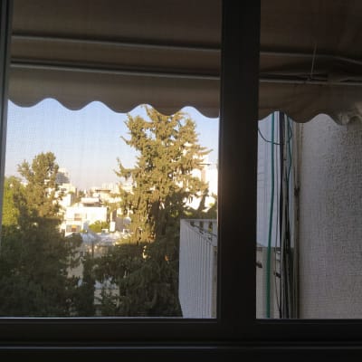 תריסים פתוחים עם נוף חיצוני של עצים ובניינים