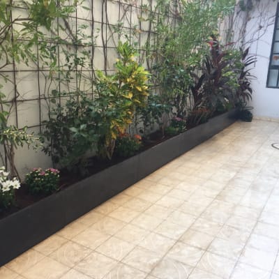 עציצים עם צמחים ירוקים ופרחים לאורך קיר