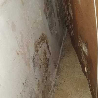 קיר עם רטיבות ועובש, רצפה עם צעצועים