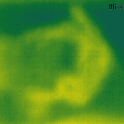 תמונה תרמית עם אזורים חמים וקרים