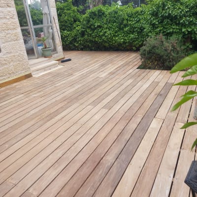 דק עץ רחב עם צמחייה ירוקה מסביב