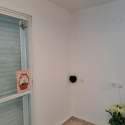 ציור של סלסלת פירות על חלון זכוכית