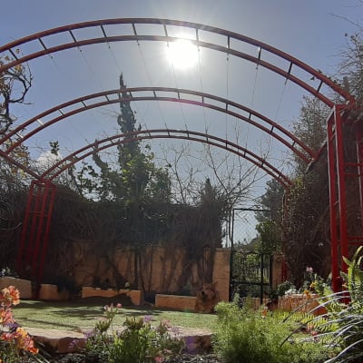 קשתות מתכת אדומות בגינה עם צמחים