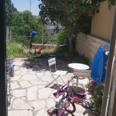 אדם עם דלי כחול ליד צמחייה ועץ גדול