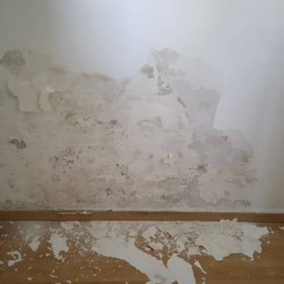 קיר עם טיח מתקלף ונזקי רטיבות