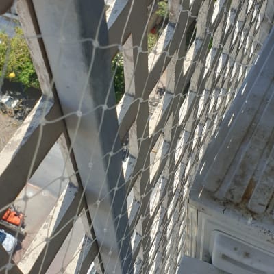 רשת מתכת מותקנת על מבנה למניעת כניסת יונים