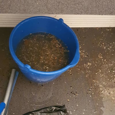 דלי כחול עם מים מלוכלכים על הרצפה