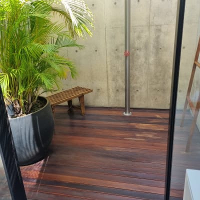 רצפת עץ עם עציץ גדול וצמח ירוק