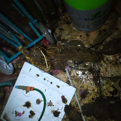 שורשים וכלים על רצפה רטובה עם צינור