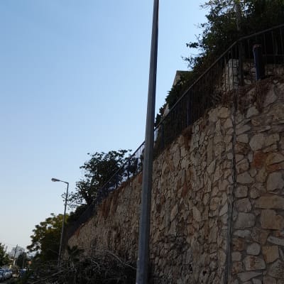 ערימת ענפים גזומים ליד עמוד תאורה