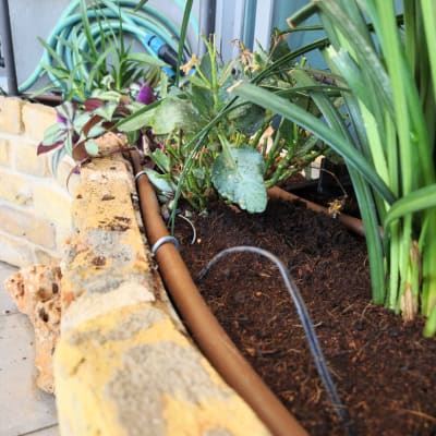 צינור השקיה, עציצים ואדמה בגינה