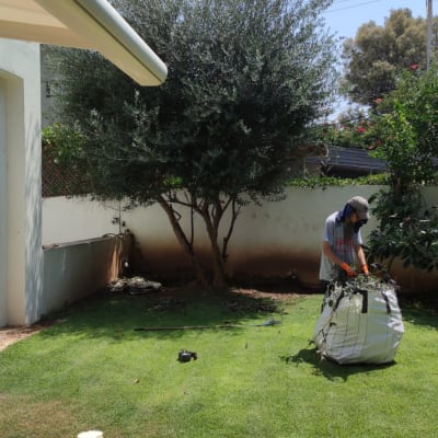 אדם גוזם עץ בגינה עם שקית גזם