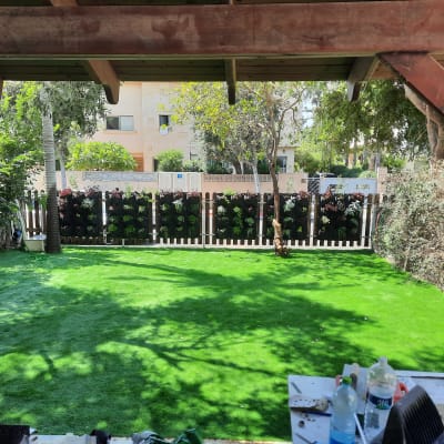 גינה עם דשא סינתטי וקיר צמחים אנכי