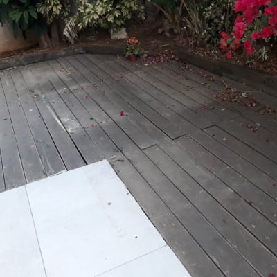 דק עץ עם עלים יבשים ופרחים אדומים