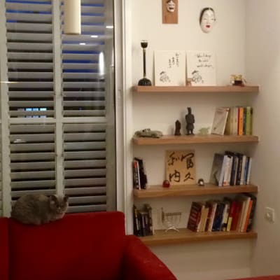 A cozy living room with red couches, bookshelves, and a cat.