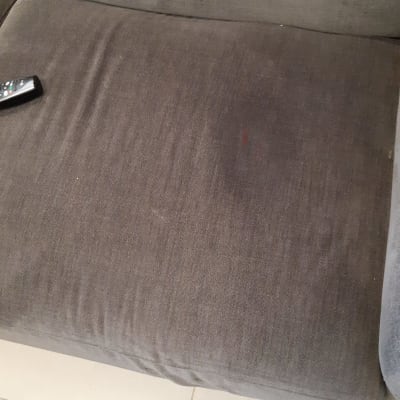 כתם על ספה אפורה עם שלט רחוק