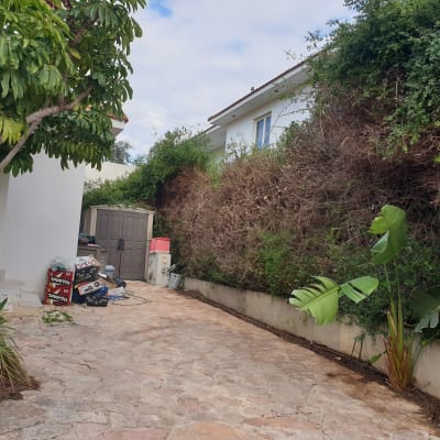 שיחים ירוקים ויבשים לצד שביל אבן בגינה