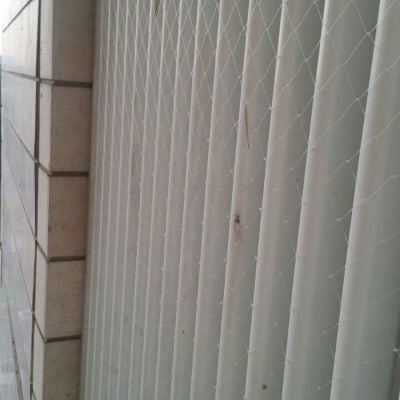 רשת הגנה על קיר למניעת כניסת יונים