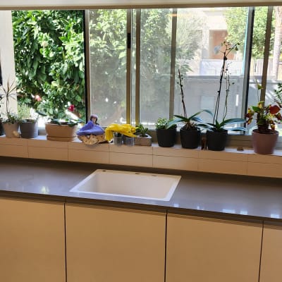 שיש מטבח עם כיור מובנה וצמחים על אדן החלון