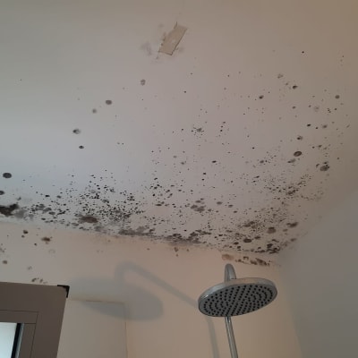 כתמי עובש על תקרת חדר אמבטיה