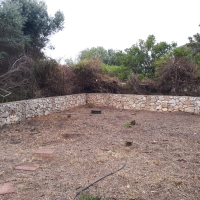 שטח אדמה עם אבנים ועצים מסביב