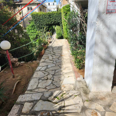 שביל אבן עם עציצים וגדר חיה ירוקה