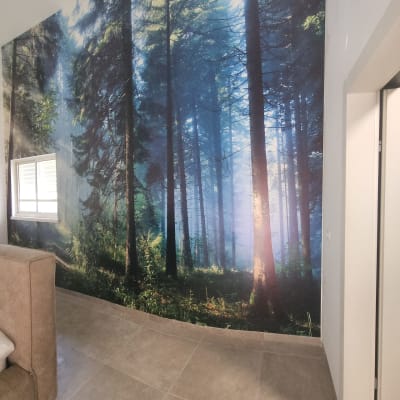 טפט יער עם עצים גבוהים ואור שמש חודר