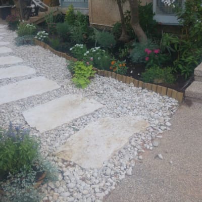 שביל אבנים בגינה עם צמחים ופרחים מסביב