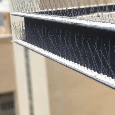 דוקרנים למניעת נחיתת יונים על מדף