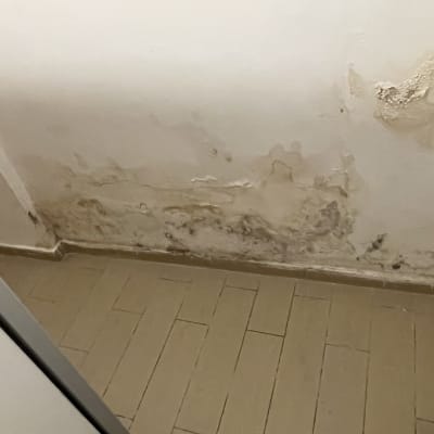 לפני התיקון