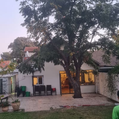 הורדת ענפים עם פוטנציאל שבירה וצמצום נוף