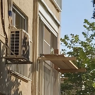 מרפסת עם בקבוק על מדף עץ