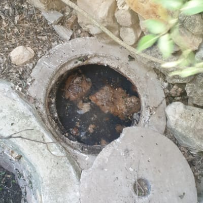 פתח ביוב פתוח עם מכסה בטון בצד