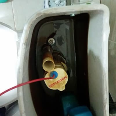 מנגנון בתוך הניאגרה של פלסאון