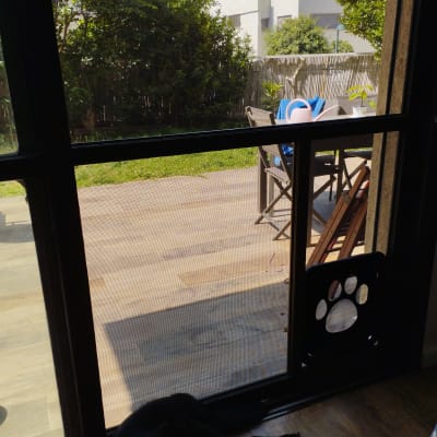 דלת אלומיניום עם רשת ומעבר לחיות מחמד