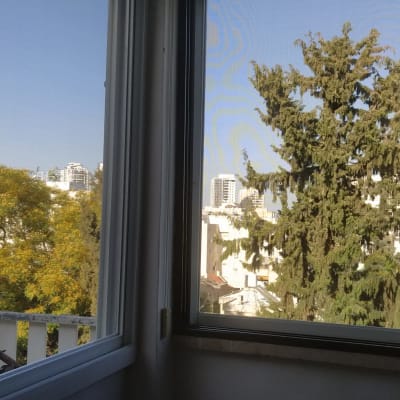 חלון פתוח עם תריסים לבנים