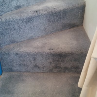 מדרגות מכוסות שטיח אפור עם כתמים כהים