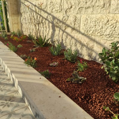 ערוגת גינה עם צמחים וקרקע חומה