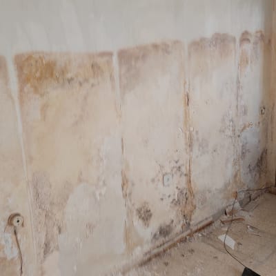 קיר עם סימני רטיבות והתקלפות צבע