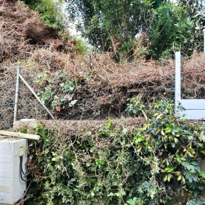 גדר מתכת עם צמחייה יבשה וירוקה