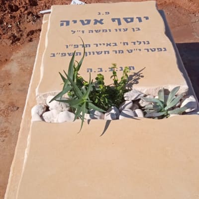 מצבה עם כיתוב בעברית וצמחים קטנים
