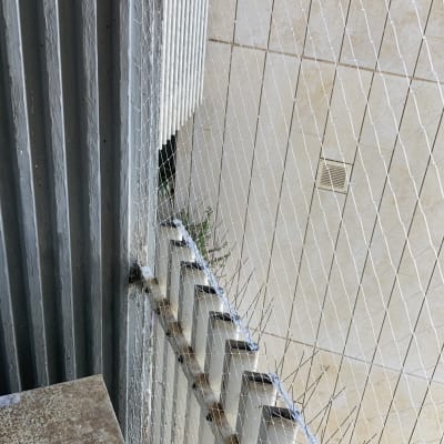 רשת למניעת כניסת יונים על גדר מתכת