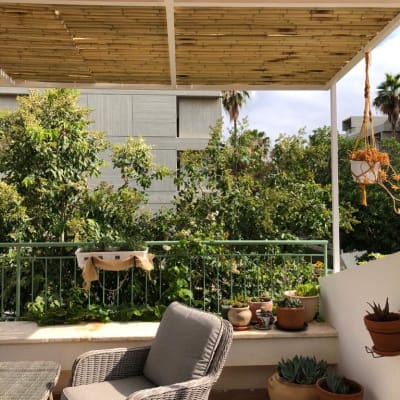 מרפסת עם גג במבוק וצמחייה מסביב